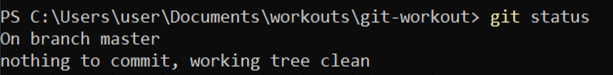 git status execution result
