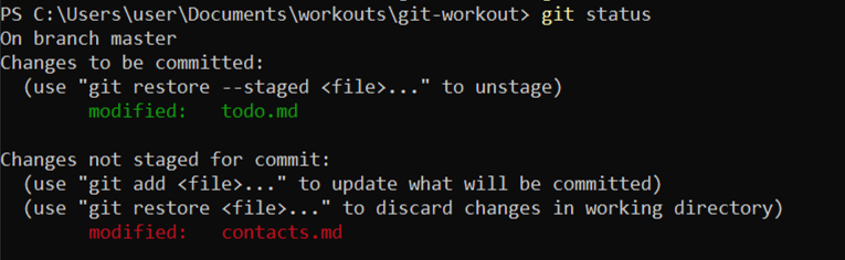 git status execution result